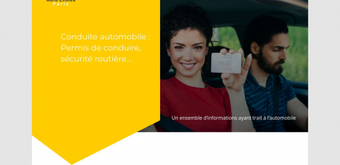 https://www.auto-ecoles-paris.com